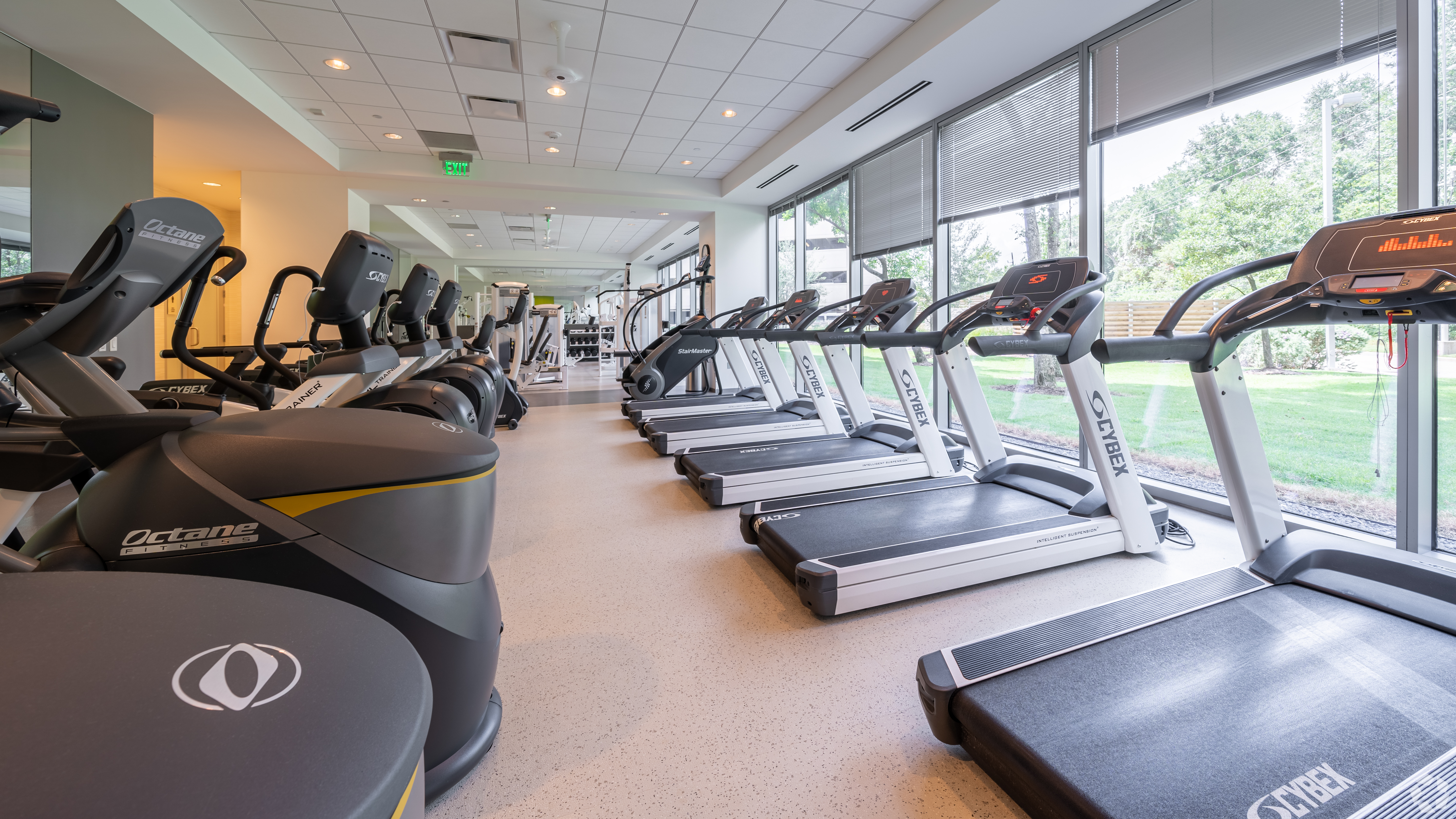 Modern fitness center with a row of treadmills and exercise bikes facing large windows, allowing natural light and a view of the greenery outside.