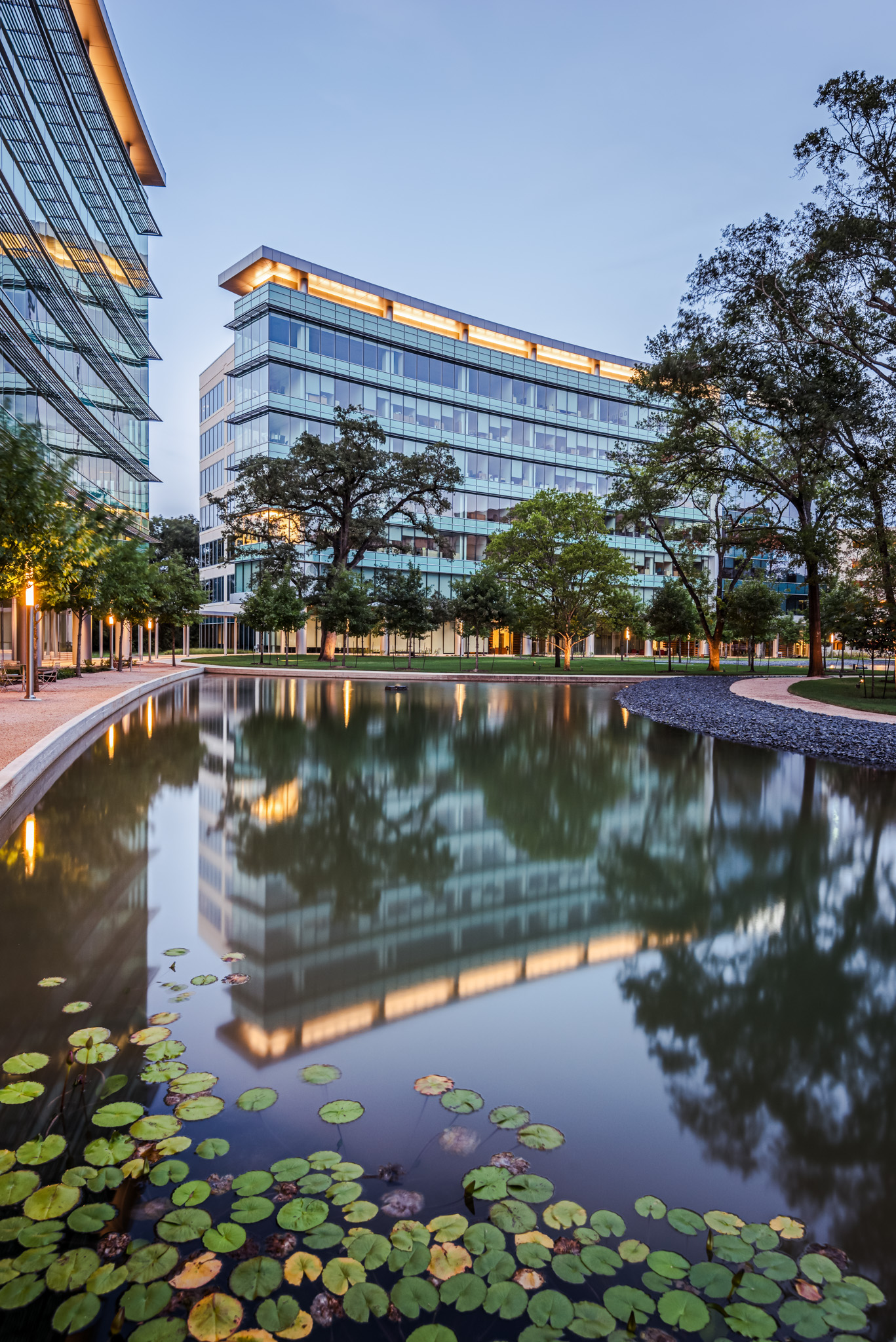 Modern office buildings with glass facades reflecting in a pond with lily pads, surrounded by trees and pathways at dusk.